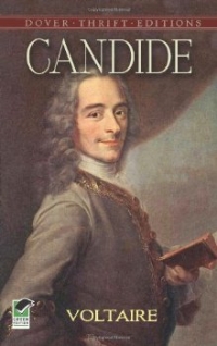 Voltaire essays